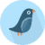 iconbird